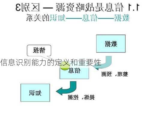 信息识别能力的定义和重要性