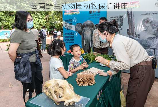 云南野生动物园动物保护讲座