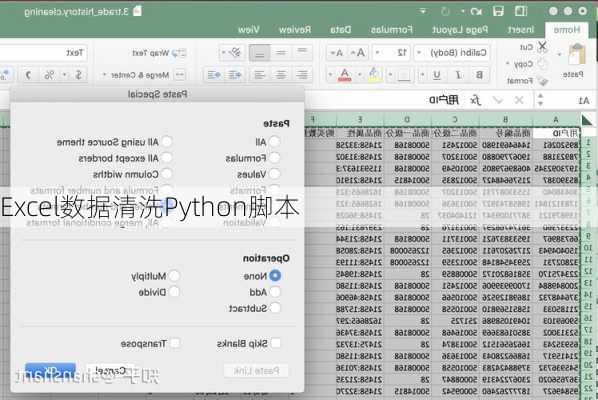 Excel数据清洗Python脚本