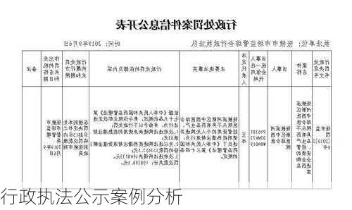 行政执法公示案例分析