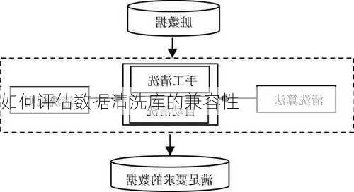 如何评估数据清洗库的兼容性