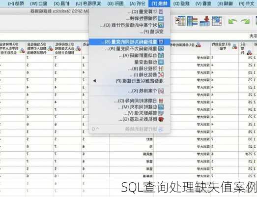 SQL查询处理缺失值案例