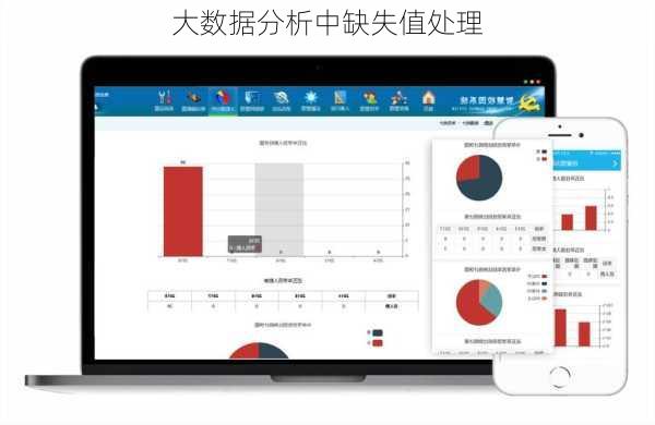 大数据分析中缺失值处理