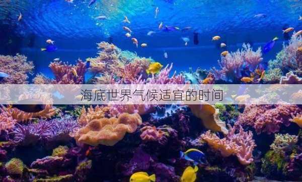 海底世界气候适宜的时间