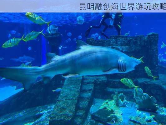 昆明融创海世界游玩攻略