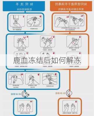 鹿血冻结后如何解冻