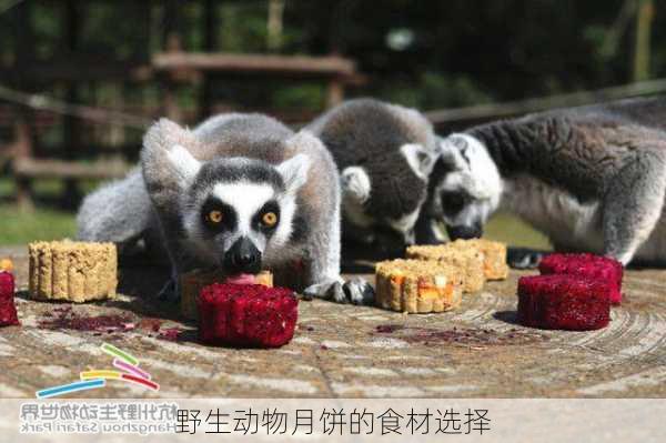 野生动物月饼的食材选择