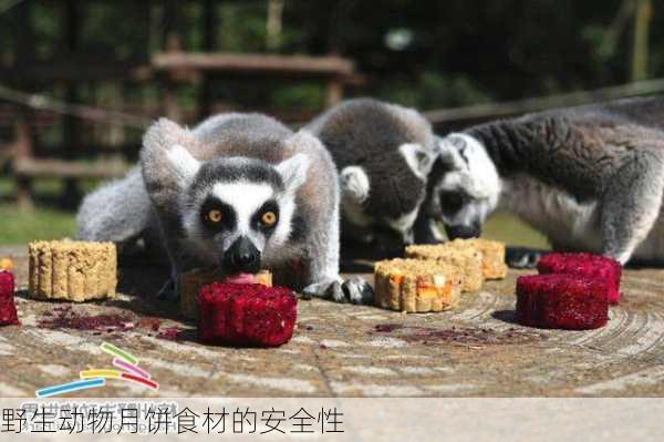 野生动物月饼食材的安全性