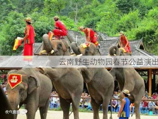 云南野生动物园春节公益演出