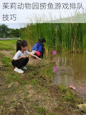 茱莉动物园捞鱼游戏排队技巧