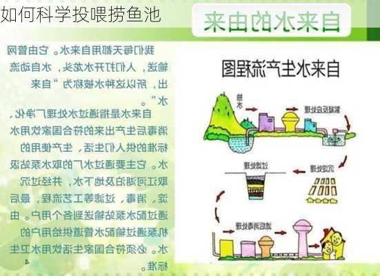 如何科学投喂捞鱼池