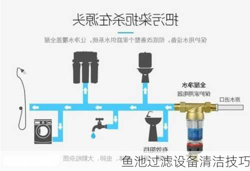 鱼池过滤设备清洁技巧