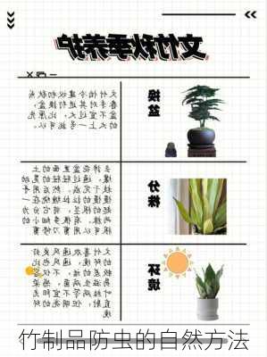 竹制品防虫的自然方法