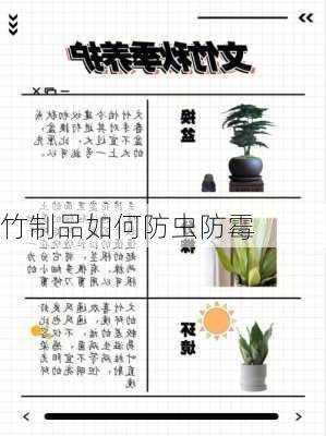 竹制品如何防虫防霉