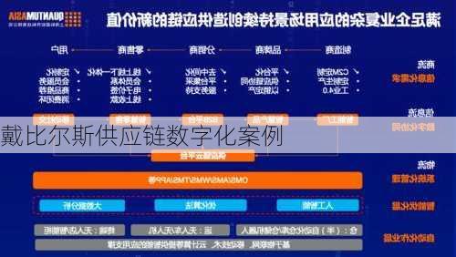 戴比尔斯供应链数字化案例