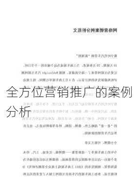 全方位营销推广的案例分析