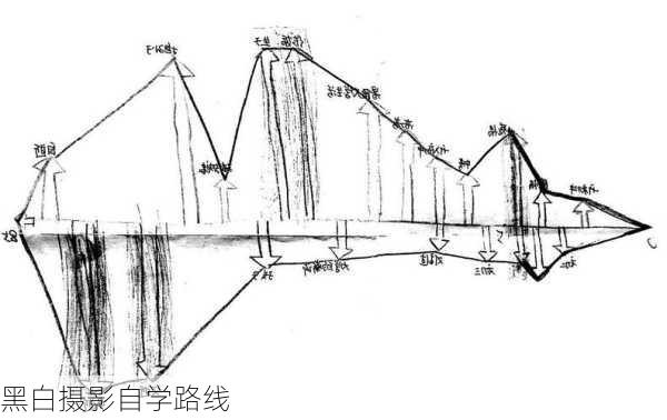 黑白摄影自学路线