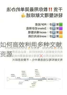 如何高效利用多种文献资源