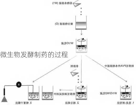 微生物发酵制药的过程