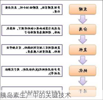 胰岛素生产中的关键技术