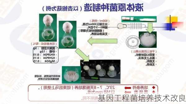 基因工程菌培养技术改良