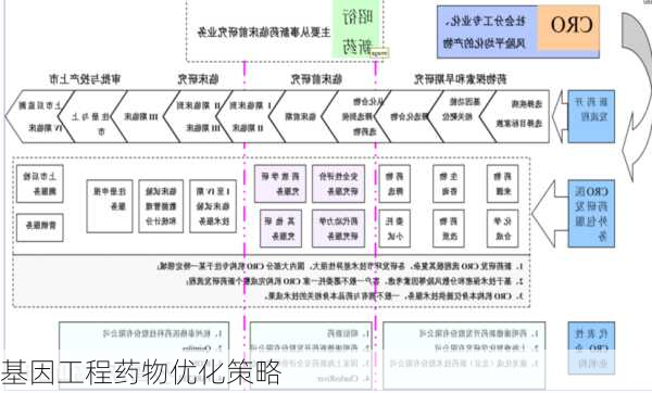 基因工程药物优化策略