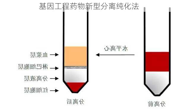 基因工程药物新型分离纯化法