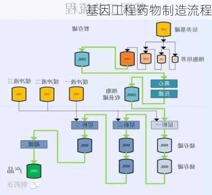 基因工程药物制造流程