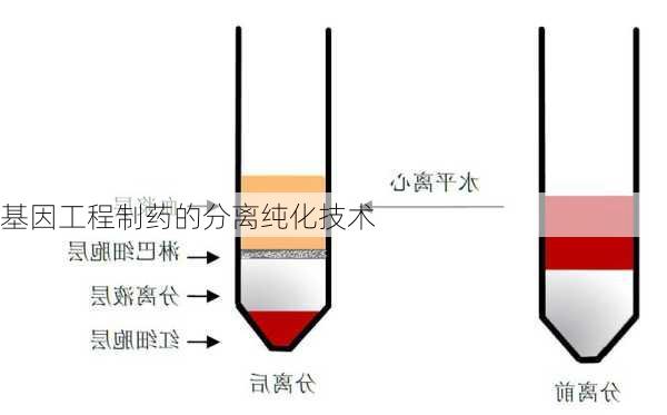 基因工程制药的分离纯化技术