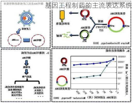 基因工程制药的主流表达系统