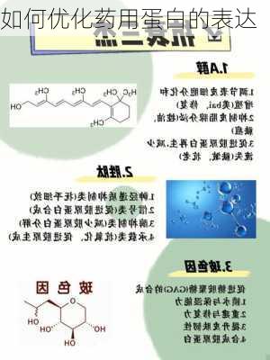 如何优化药用蛋白的表达