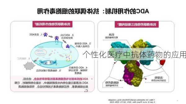 个性化医疗中抗体药物的应用