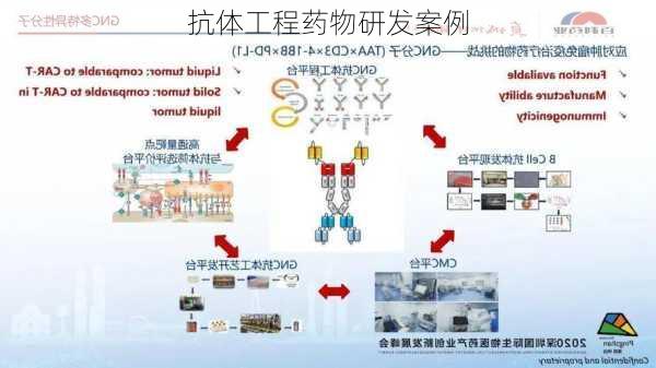 抗体工程药物研发案例