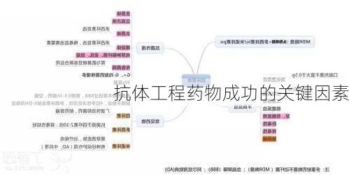 抗体工程药物成功的关键因素