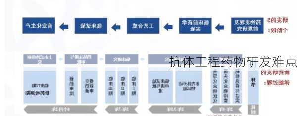 抗体工程药物研发难点