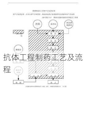 抗体工程制药工艺及流程