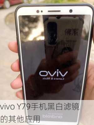 vivo Y79手机黑白滤镜的其他应用