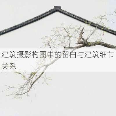 建筑摄影构图中的留白与建筑细节关系