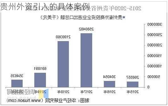 贵州外资引入的具体案例