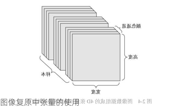 图像复原中张量的使用