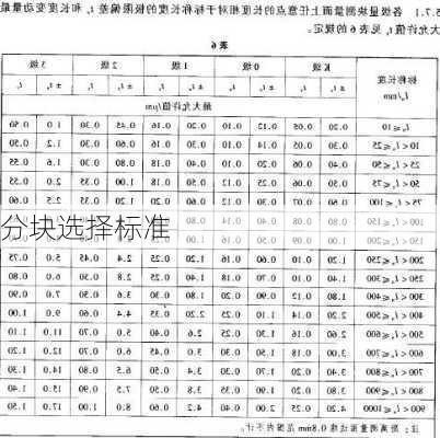 分块选择标准