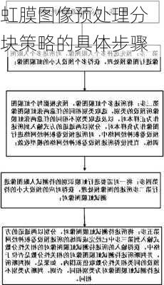 虹膜图像预处理分块策略的具体步骤