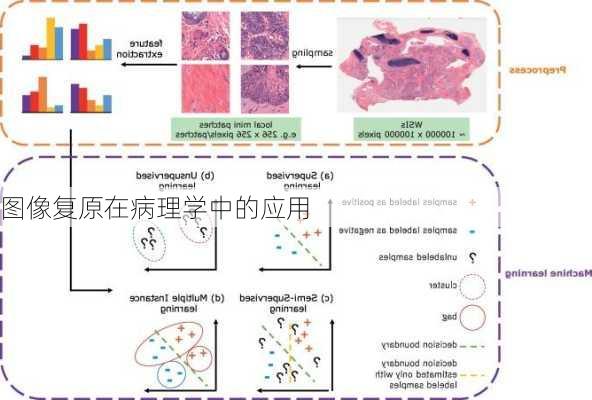 图像复原在病理学中的应用