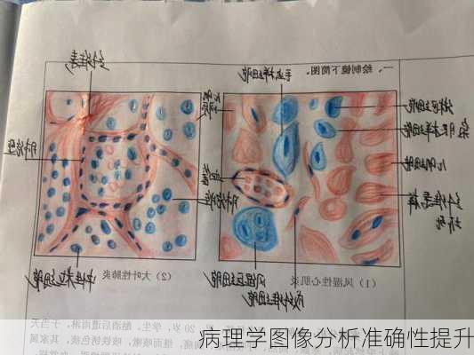 病理学图像分析准确性提升