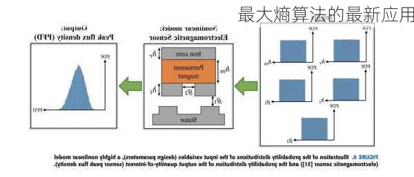 最大熵算法的最新应用