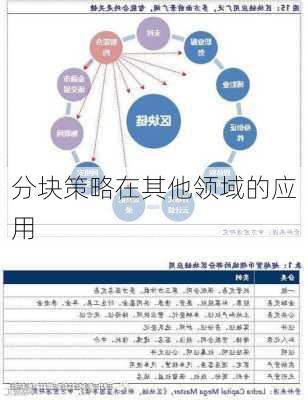 分块策略在其他领域的应用