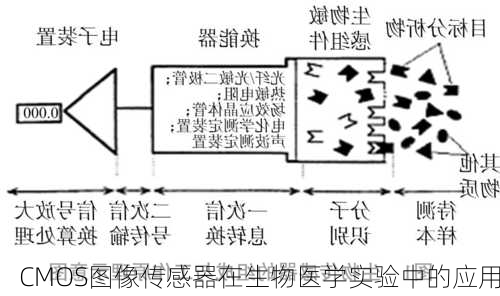 CMOS图像传感器在生物医学实验中的应用