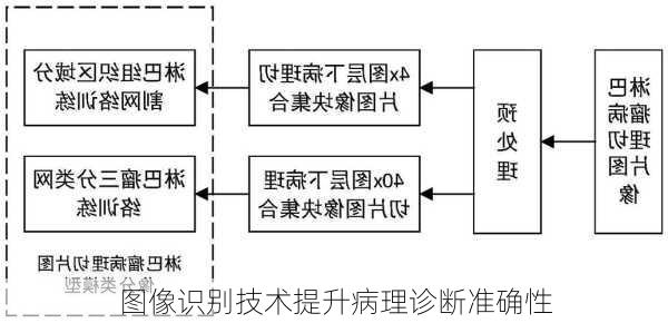 图像识别技术提升病理诊断准确性