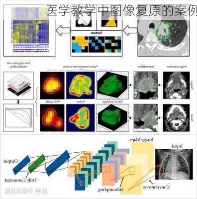 医学教学中图像复原的案例