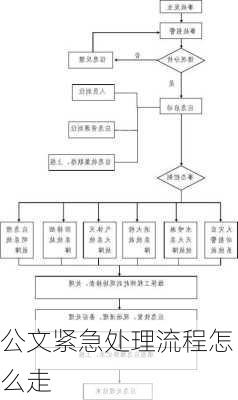 公文紧急处理流程怎么走